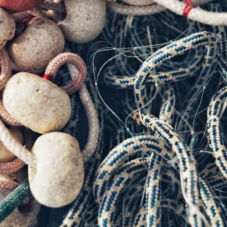 Royal Lmc * Biograd na Moru